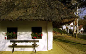 Museum Item Image